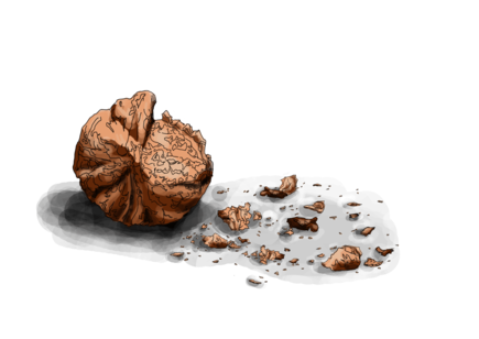 Sans titre-1 (1) (1).2.png